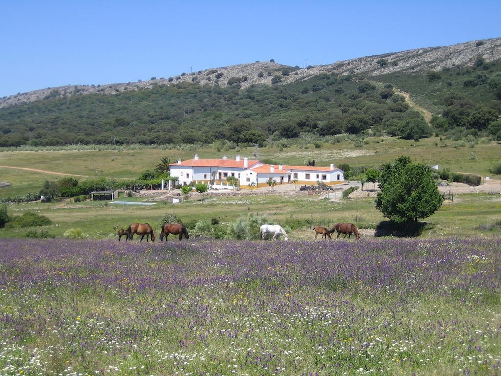 Palacio Viejo De Las Corchuelas Torrejon el Rubio Bilik gambar